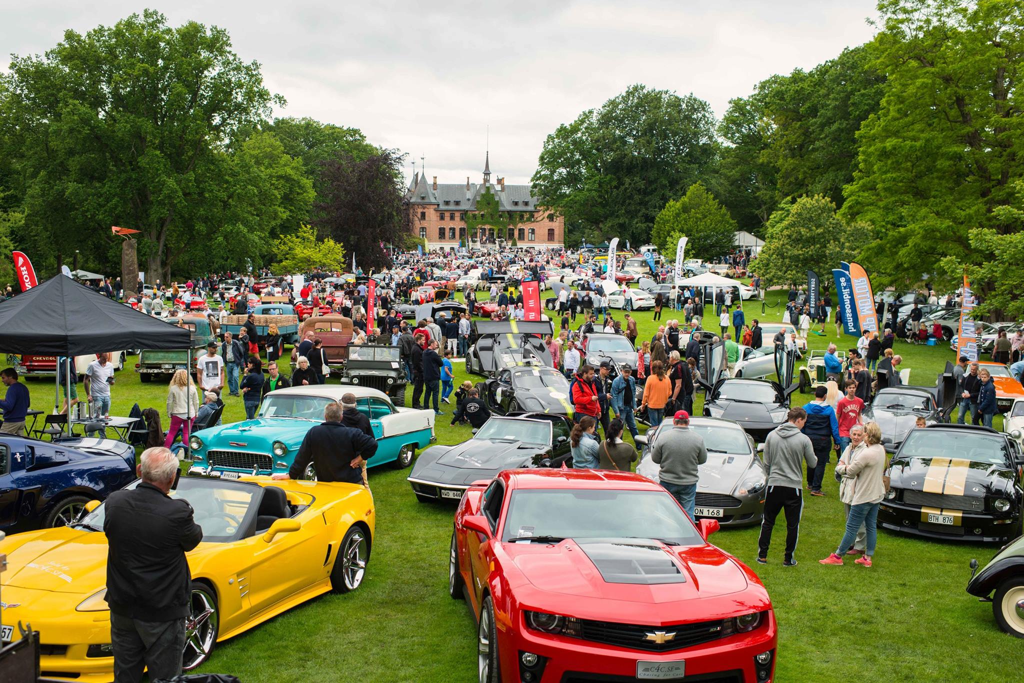 Många människor och bilar samlade på gräsmatta